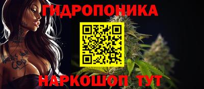 гашик Бийск