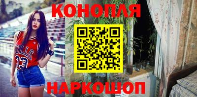 гашик Бийск