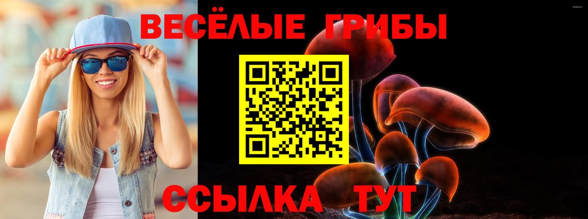 Псилоцибиновые грибы мухоморы  Вход с VPN  купить   Кинель 
